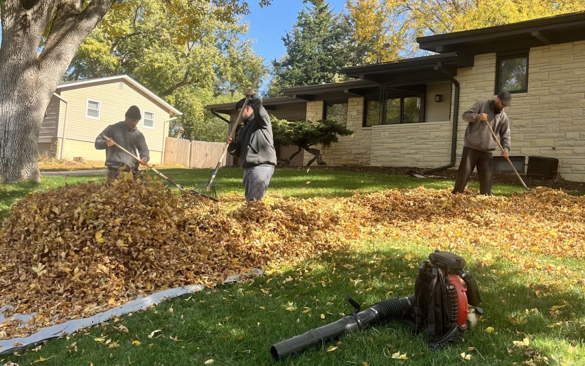 Spring / Fall Clean Up