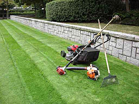 Lawn Maintenance